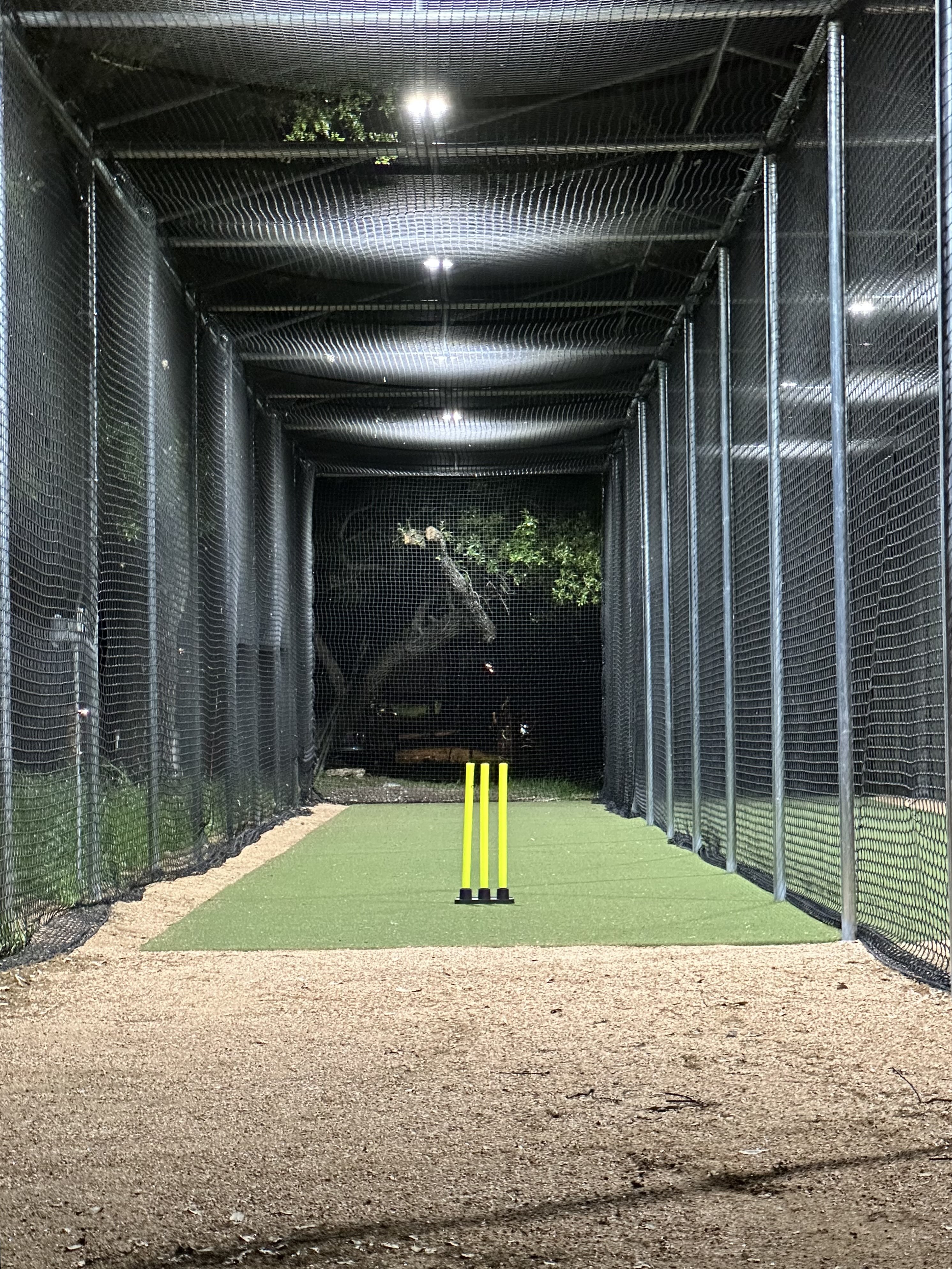 Cricket net close-up