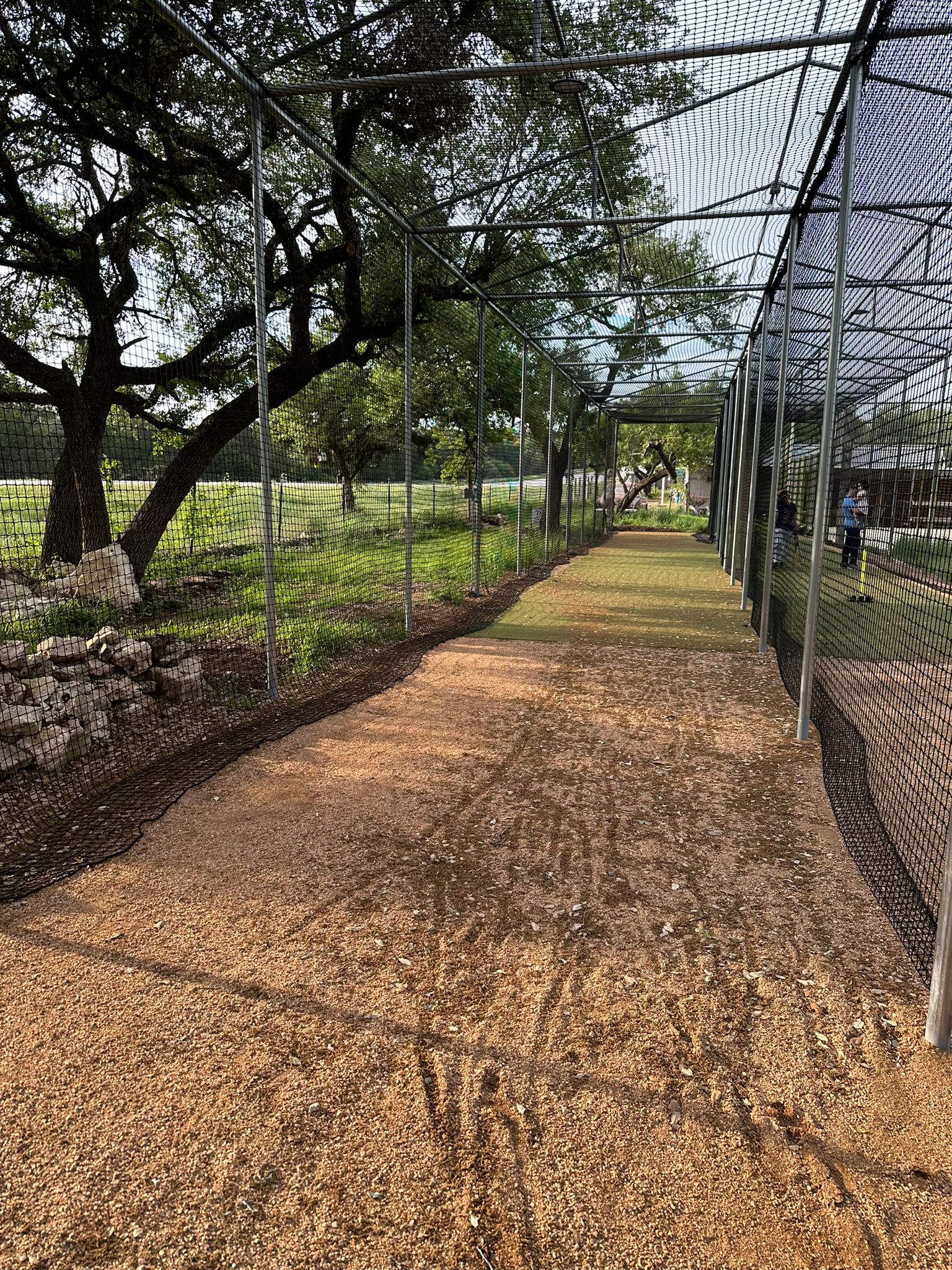 Cricket nets daytime